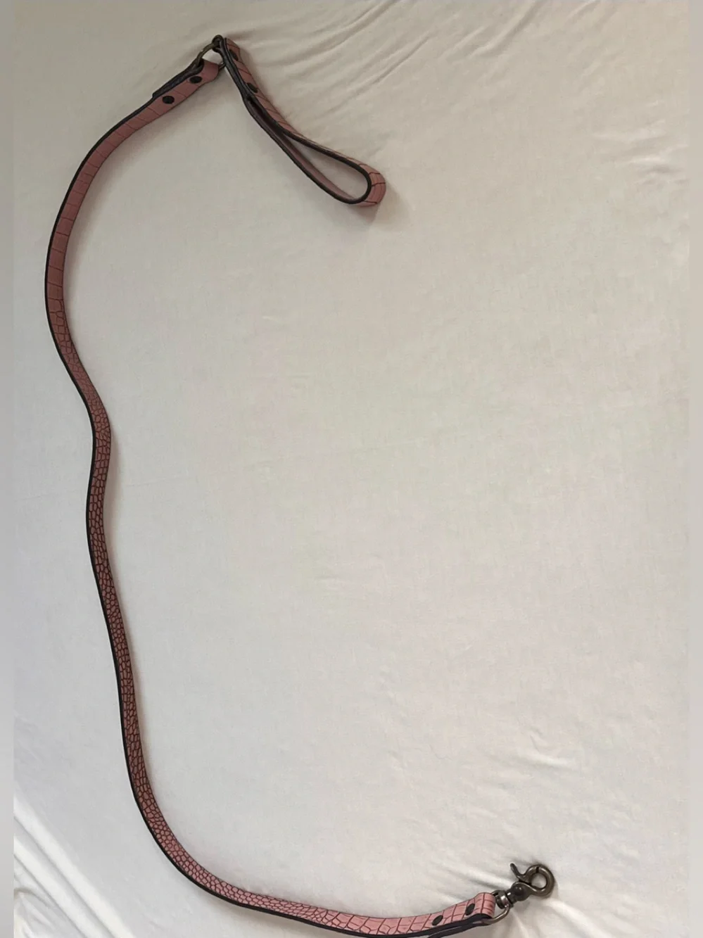 Freebird by Steven Pink Croc-Embossed Leather Dog Leash